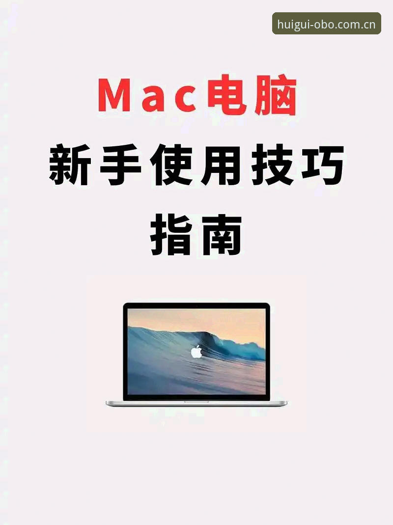 电脑端回归本真新起点海外版怎么用？一个老用户摸索三天的真实体验